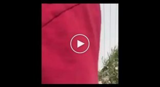 Неудачная шутка над симпатичной соседкой