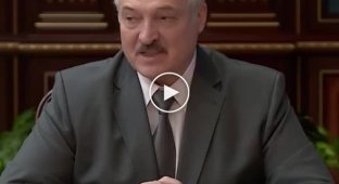 Александр Лукашенко решил позвонить Владимиру Путину