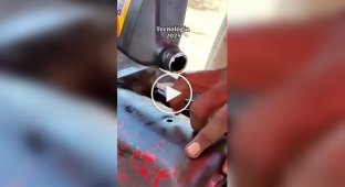 Funny (short videos). Release 55