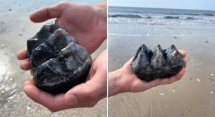 Чоловік знайшов на пляжі дивний камінь (3 фото)