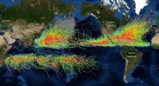 Why can't a single hurricane cross the equator? (5 photos)