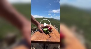 Перекус на природе