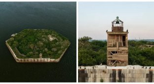 Форт Кэрролл и его птицы (13 фото)