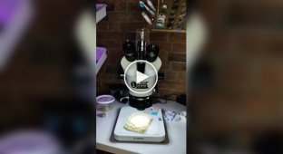 Dry instant noodles under a microscope: you probably won't want to eat them