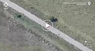 Defense forces stopped the assault, eliminating Russians and destroyed shelters in the North Slobozhansky direction