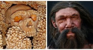 150 000 лет вниз головой: неандерталец, которого земля до сих пор не отпускает (7 фото)