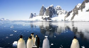 30 коротких удивительных фактов об Антарктиде (11 фото)