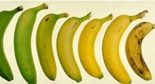 Свойства банана, о которых вы, скорее всего, не знали (11 фото)