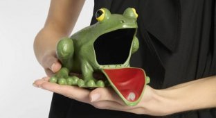 Designers released a frog clutch for a thousand dollars (4 photos)