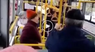 В России женщина устроила скандал в автобусе, а после вышла из окна
