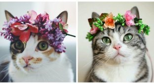 Вінок на вінцях творіння (25 фото)