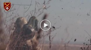 Destruction of an assault group of invaders on a BMD-4M using Javelin and drops from drones