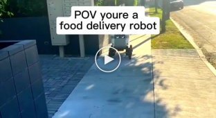 The robot courier was able to escape from the kidnappers who tried to drag him into the van