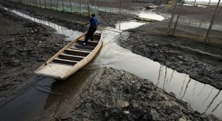 Засуха в бассейне реки Янцзы (20 фото)