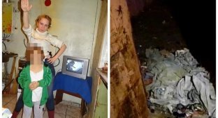 В Подмосковье в грязном доме полном котов обнаружили девочку-маугли (9 фото)