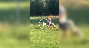 Boy vs. goose