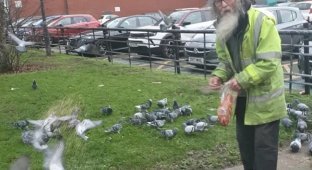 Дедушку приговорили к штрафу за любовь к птичкам и кормление голубей (3 фото)