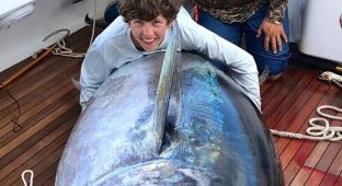 Мальчик весом 52 кг словил тунца весом 378 кг! (4 фото)