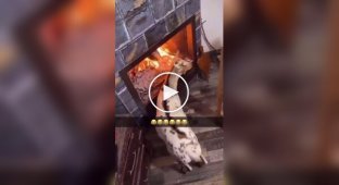Шашлик сам іде в піч