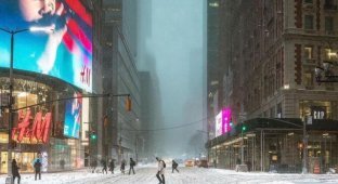 What winter New York looks like (8 photos)