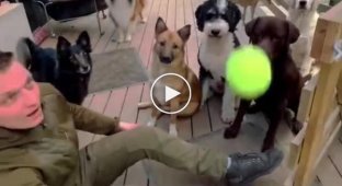 Показал фокус с мячем для собак