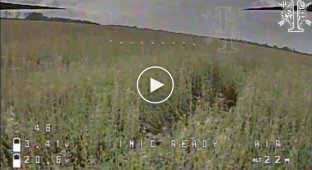 Окупант високо летить над зарослим полем після прямого влучення українського дрона-камікадзе