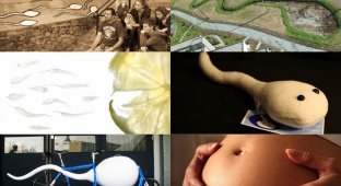 10 фактов о сперме человека (10 фото)