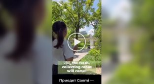 В корейских парках есть роботы для сбора мусора
