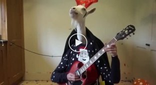 Коза под видом оленя «играет» на гитаре
