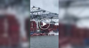 Контейнеры упали с грузового судна во время разгрузки