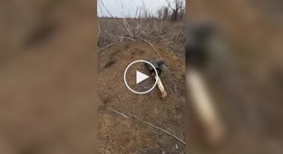 Another dead Ivan lost in the fields of Ukraine