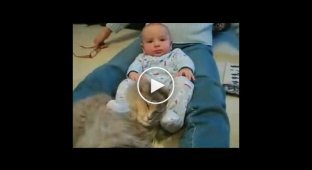 Малыш мучает кота