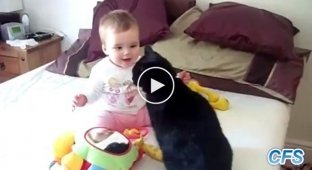 Living together between cats and small children. Cute YouTube video