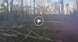 СЗГ знищили ворожу штурмову групу на Курському напрямку прямо біля кордону України