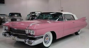 Классический розовый Cadillac, конфискованный у печально известного интернет-предпринимателя, выставлен на аукцион (18 фото)