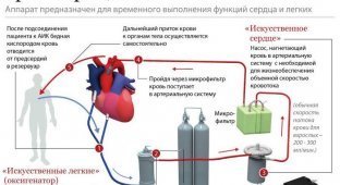 ИНФОграфика (23 фото + текст)