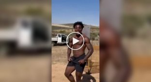 Блогер посоревновался в скорости с гепардом