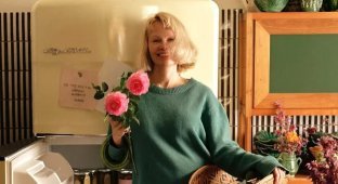 Памела Андерсон випустила іменну серію маринованих огірків (5 фото)