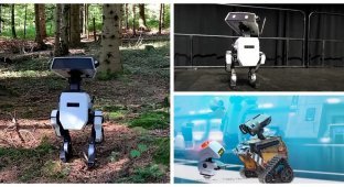 Disney robots stepped from the screen into the real world (6 photos + 2 videos)