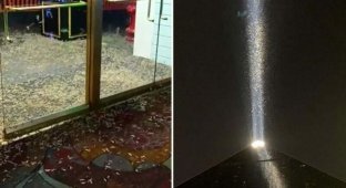 Лас-Вегас «атаковали» миллионы «сумасшедших» кузнечиков (9 фото)