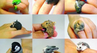 Кольца в виде животных от Дзиро Миура (12 фото)