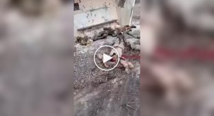 Ликвидированные оккупанты валяются на автобусной остановке