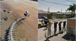 15 Bizarre Moments Immortalized on Google Maps (16 Photos)