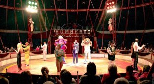 Цирк “Гумберто” (37 фото)