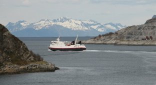 Hurtigruten. От Орнеса до Будё (21 фото)