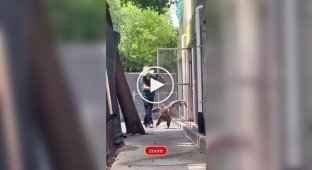 Черный гриф чуть ли не вприпрыжку отправился на прогулку