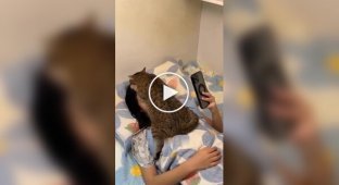 A cat chose an original place to sleep