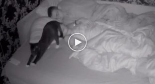 Сон отменяется: неугомонный кот мешает хозяевам спать