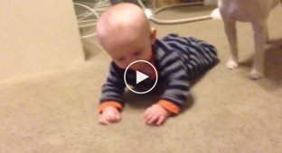 The dog decided to teach the little one to crawl correctly