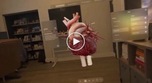 Вот как выглядит визуализация изучения работы сердца в очках от Apple